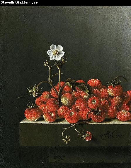 Adriaen Coorte Still life with wild strawberries.